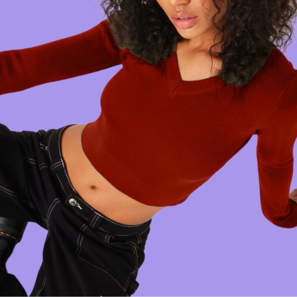 4/45$ BNWT Burgundy Ivy High Long Sleeve V-Neck Sweater | Garage